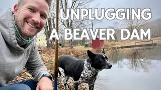 Unplugging The Beaver Dam - 3/7/24