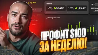 🔴 ПРОФИТ $100 в НЕДЕЛЮ на GRASS - Поинты, Аирдроп, Обзор | Аирдроп Криптовалют | Заработок на Крипте