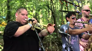 Brownout - Flaximus (Live @Pickathon 2014)