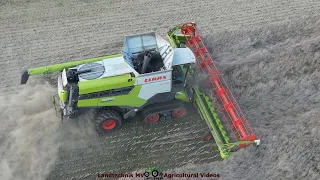 Claas - John Deere - Hawe / Rapsernte - Rapeseed Harvest  2023 pt1