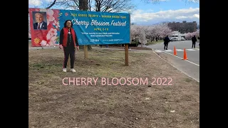 Cherry Blossom Festival [Branch Brook Park Belleville New Jersey]