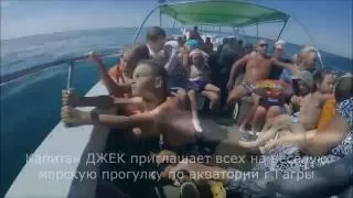 Морская прогулка. Абхазия, Гагра. Капитан ДЖЕК 2016. Дельфины