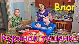 Влог. Таня у онколога. Тушенка. Болтаем. (04.24г.) Семья Бровченко.