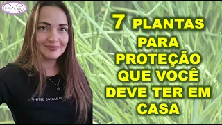 7 PLANTAS PARA PROTEÇÃO QUE VOCÊ DEVE TER EM CASA