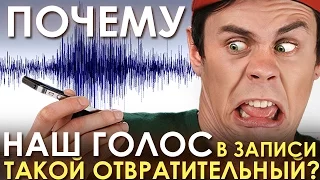 Почему наш голос в записи такой отвратительный? - ТОПЛЕС