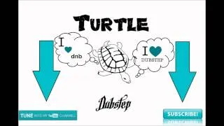 TurtleDubstep present: 303 Project - Krylia/Krilia