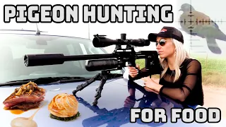 Pigeon Hunting - Hunting for food with airguns