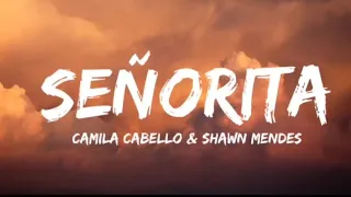 Señorita - Camila Cabello and Shawn Mendes