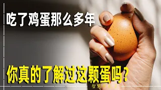 "每日一鸡蛋 医生不用看"关于鸡蛋的所有问题都在这里！吃鸡蛋的7大好处/吃几个鸡蛋合适/怎么做营养价值最大