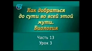 Биология для чайников. Урок 13. Генетика. Законы передачи наследственной информации