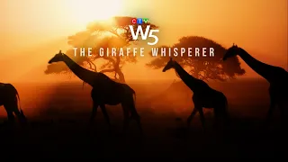 W5: Meet the Canadian who literally wrote the book on giraffe