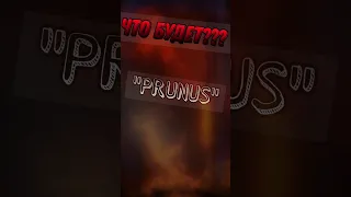 ЧТО БУДЕТ ЕСЛИ НАПИСАТЬ PRUNUS???