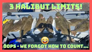 LIVE BAIT SF BAY HALIBUT FISHING 🔥🔥🔥🔥