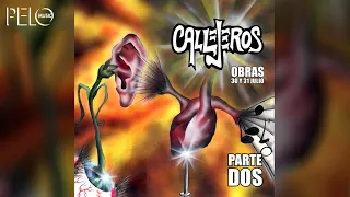 Callejeros - En Directo (Obras Sanitarias) Parte 2