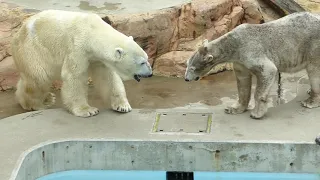 20190501豪太とユキのメロメロタイム