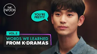 Words we learned from K-dramas Vol. 02 [ENG SUB]