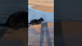 Loki on quicksand