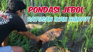 Pondasi Kolam Jebol, Ratusan Ikan Taman Tirta Gangga Hanyut