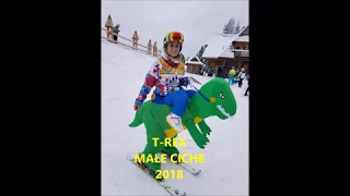 DINOSAUR T-REX ON SKI !!!