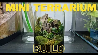 Creating a Mini Terrarium: Step-by-Step Guide for a Lush Ecosystem in a Jar