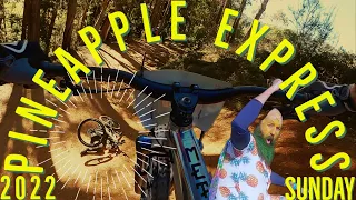 Pineapple Express MTB Day 2 // Bright Mystic Bike Park