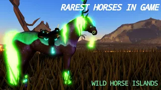 The Rarest Horses That You May Have Never Heard Of! [WHI / WILDHORSEISLANDS]