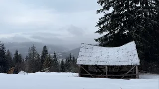 08.01.2024 One and a half hour hike through the snowy Carpathians, Magical nature