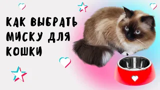 ПРАВИЛЬНАЯ МИСКА ДЛЯ КОШКИ