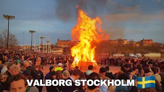 Valborg på Riddarholmen 2024 | Walpurgis Night Stockholm