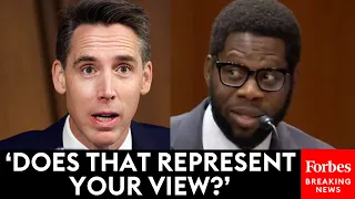 Josh Hawley Grills Biden Judicial Nominee About Org's Statements About 'America's Racist History'