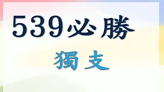 5月21日 539必勝獨支-1上期中 03 05