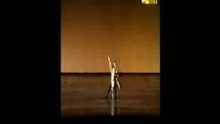 Alina Cojocaru at 21 - Don Quixote pdd (adagio)