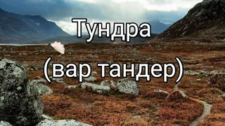 Вар Тандер би лайк