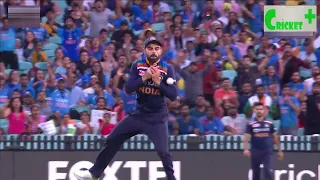 When best fielders like Virat Kohli, Smith, Hardik Pandya drop easy catches