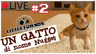 [🔴 LIVE] LITTLE FRIENDS: Dogs & Cats - 2° DIRETTA