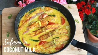 Scottish Salmon In Coconut Milk Recipe || Pan Fried Salmon In Coconut Milk Sauce