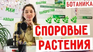 Споровые растения (мхи, хвощи, плауны, папоротники) | Биология ЦТ, ЕГЭ