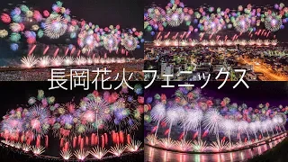 [4K] 長岡花火大会 2019 復興祈願花火 フェニックス 4カ所から撮影 - Nagaoka Fireworks Phoenix 2019 from 4 locations -
