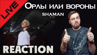 SHAMAN - ОРЛЫ ИЛИ ВОРОНЫ LIVE   REACTION  РЕАКЦИЯ  INSLA1DER MUSIC