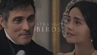 Victoria & Melbourne ♠ Strange Birds