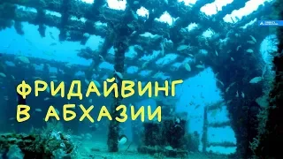 Фридайвинг в Абхазии | Freediving in Abkhazia