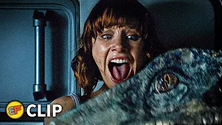 Raptors Chase Scene | Jurassic World (2015) Movie Clip HD 4K