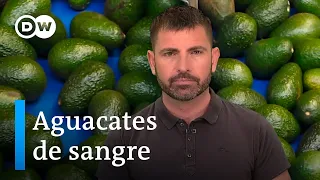 La mafia del aguacate en Michoacán