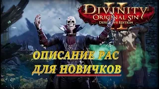 Описание рас для новичков. Divinity Original Sin 2 – Definitive Edition