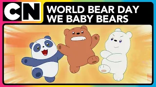 COMPILATION: World Bear Day 🌏 | We Baby Bears | Cartoon Network Asia