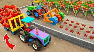 Top diy tractor making mini new style Seeding machine | DIY grow & harvest Tomato farming | HP Mini