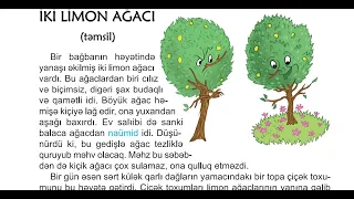 5-ci sinif Azərbaycan dili. "İki limon ağacı" mətni. Səh: 92, 93