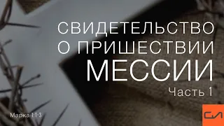 Марка 1:1-3. Свидетельство о пришествии Мессии (часть 1) | Андрей Вовк | Слово Истины