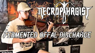 NECROPHAGIST Fermented Offal Discharge (solo) - violin cover