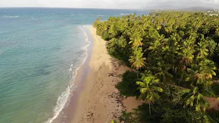 FREE VIDEO BACKGROUND: Beach/Water/Falls 8